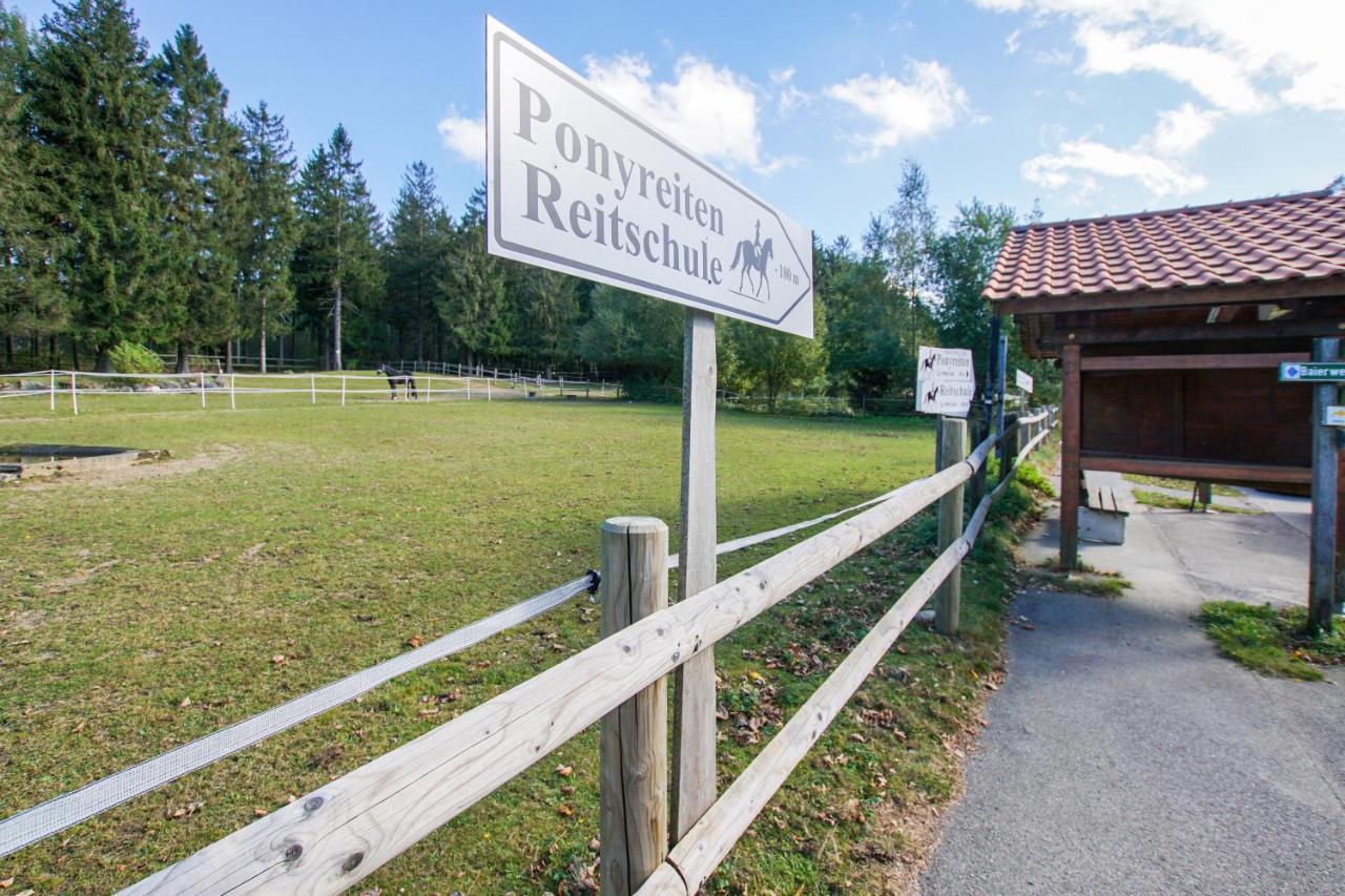 Charmante Ferienwohnung Mit Sauna Und Schwimmbad Im Zauberhaften Bayerischen Wald Sankt Englmar Exterior photo